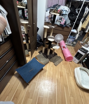 鳥取県米子市のソープランドCLUB JOY（クラブジョイ）の写メ日記　明日から(*´꒳`*)今日はごめんなさい画像