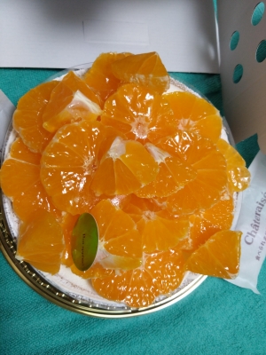 鳥取県米子市のソープランドCLUB JOY（クラブジョイ）の写メ日記　受付つけ終了(*´꒳`*)画像