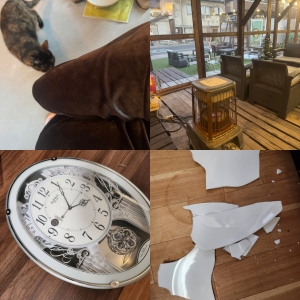 鳥取県米子市のソープランドCLUB JOY（クラブジョイ）の写メ日記　猫カフェ　お家　たこ焼き画像