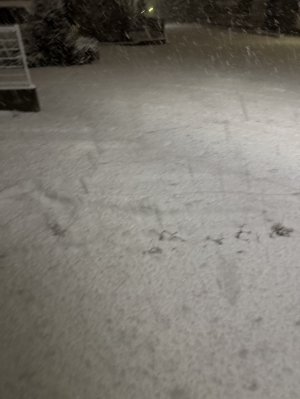 鳥取県米子市のソープランドCLUB JOY（クラブジョイ）の写メ日記　帰りました✨画像