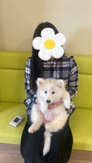 鳥取県米子市のソープランドCLUB JOY（クラブジョイ）の写メ日記　禁断の朝、愛欲の誘惑画像