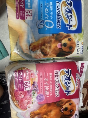 鳥取県米子市のソープランドCLUB JOY（クラブジョイ）の写メ日記　10日（金）お礼ブログ画像